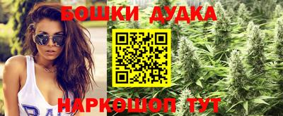 индика Котовск