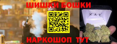 индика Котовск