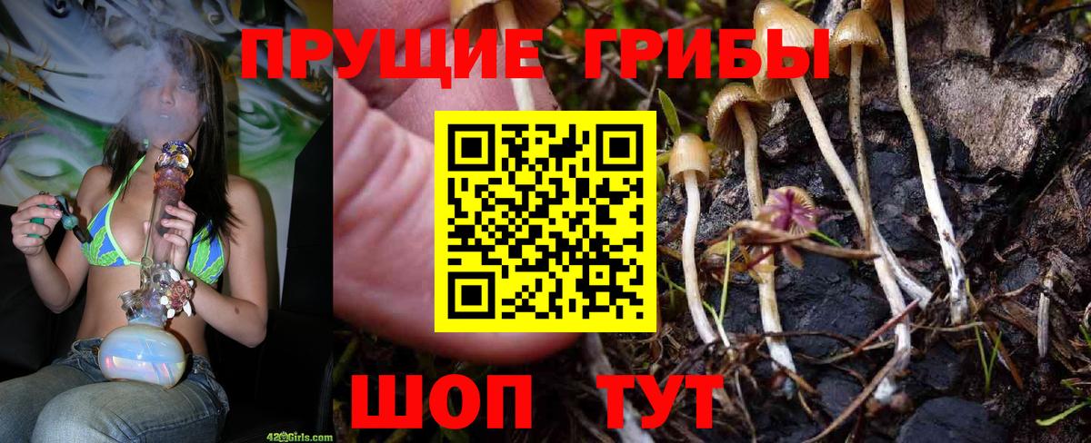 Усинск  Псилоцибиновые грибы Psilocybe  Вход с VPN 